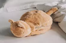 《貓咪造型的電子加熱袋》手腳冰冷的福音有了它冬天就暖和惹