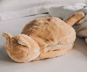 《貓咪造型的電子加熱袋》手腳冰冷的福音有了它冬天就暖和惹