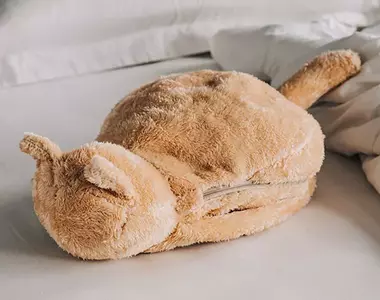 《貓咪造型的電子加熱袋》手腳冰冷的福音有了它冬天就暖和惹