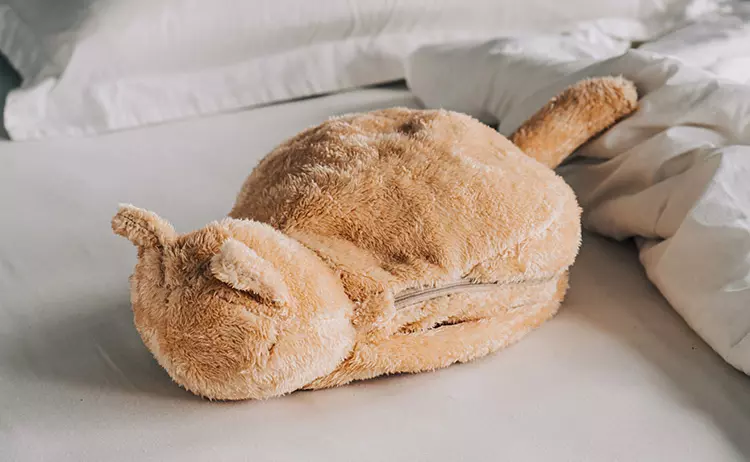 《貓咪造型的電子加熱袋》手腳冰冷的福音有了它冬天就暖和惹