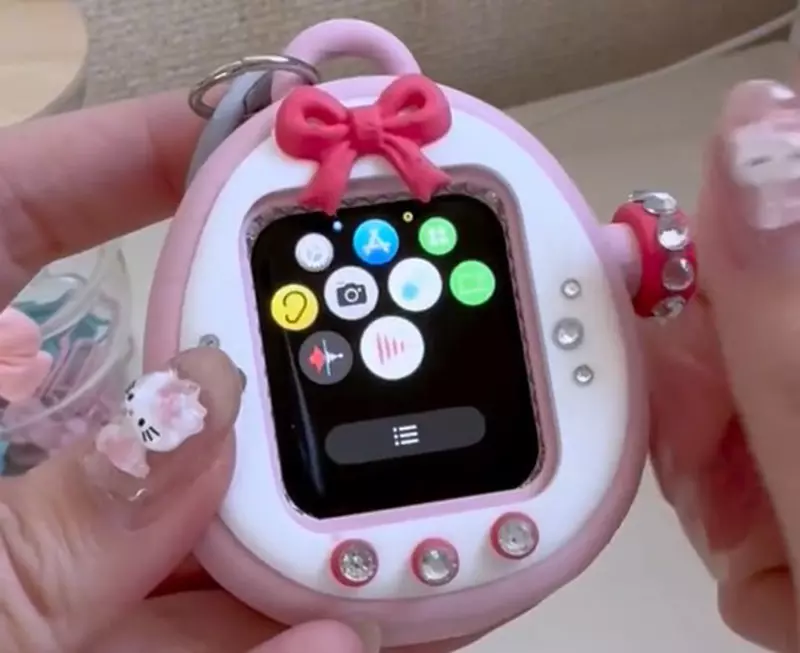 日本各地目擊《塔麻可吉電子支付》行為，當然電子雞本身沒這功能，原來是被魔改過後的機體！？