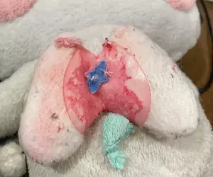 日本網友《在布偶裡面發現肺臟》直呼太可怕 其實是那隻寶可夢的裝飾品？