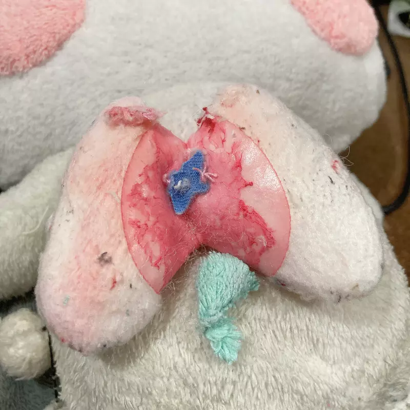 日本網友《在布偶裡面發現肺臟》直呼太可怕 其實是那隻寶可夢的裝飾品？