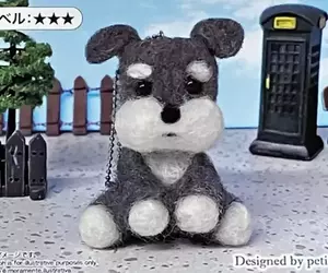 大創難度三星羊毛氈雪納瑞 網友買回家做完衝擊景象出現，讓人邊笑眼淚邊流出來