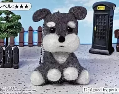 大創難度三星羊毛氈雪納瑞 網友買回家做完衝擊景象出現，讓人邊笑眼淚邊流出來