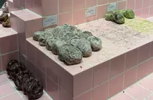 網友吐槽《這個甜甜圈陳列方式好奇怪》看起來像是發霉的廁所地板？