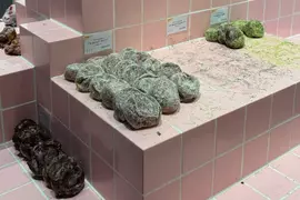 網友吐槽《這個甜甜圈陳列方式好奇怪》看起來像是發霉的廁所地板？