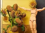桌上美術館系列《向日葵》梵谷名畫Figma開始預約，預計2026年8月推出