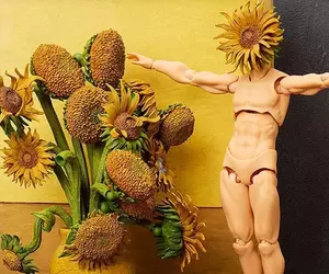 桌上美術館系列《向日葵》梵谷名畫Figma開始預約，預計2026年8月推出