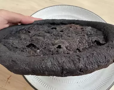 買了高級蒸氣水波爐料理披薩 結果竟然NG變成了像是出土古文物東西！？