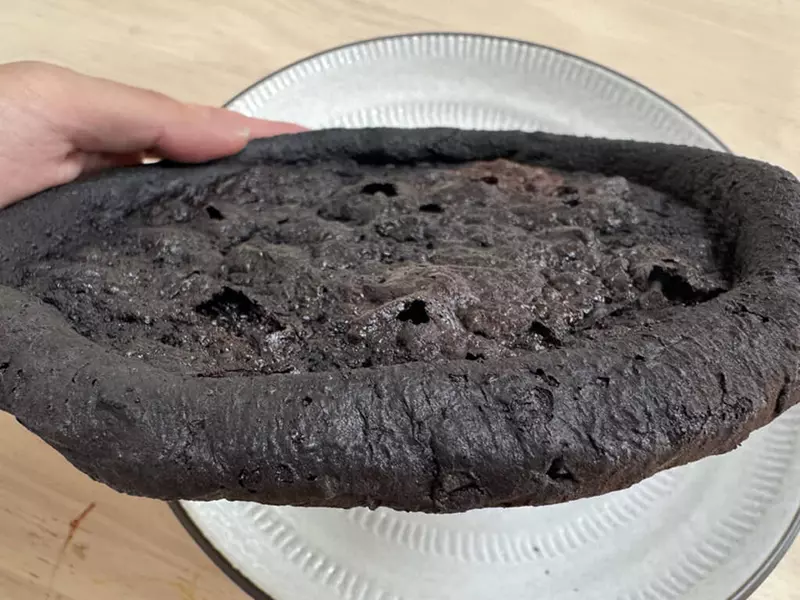 買了高級蒸氣水波爐料理披薩 結果竟然NG變成了像是出土古文物東西！？