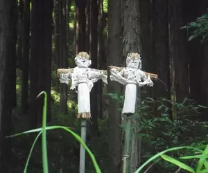 《日本傳統儀式：送蟲》路邊插著神秘稻草人？他好不容易看到感動到不行