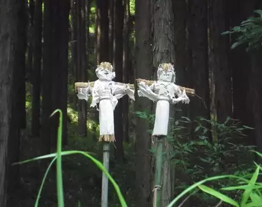 《日本傳統儀式：送蟲》路邊插著神秘稻草人？他好不容易看到感動到不行