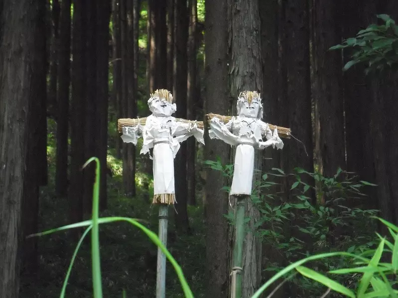 《日本傳統儀式：送蟲》路邊插著神秘稻草人？他好不容易看到感動到不行