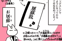 日本藥局神祕商品《屠蘇散》連資深店員也不知道是什麼