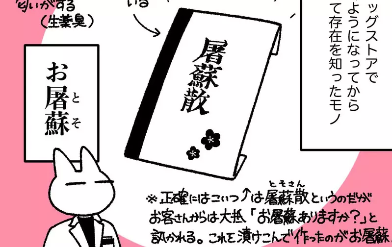 日本藥局神祕商品《屠蘇散》連資深店員也不知道是什麼