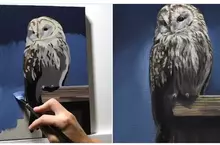 日本油畫藝術家的作品分享 3小時30分所畫出來的貓頭鷹差不多就長這樣子