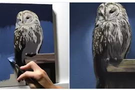 日本油畫藝術家的作品分享 3小時30分所畫出來的貓頭鷹差不多就長這樣子
