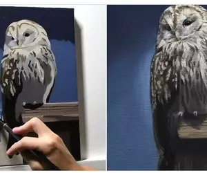 日本油畫藝術家的作品分享 3小時30分所畫出來的貓頭鷹差不多就長這樣子