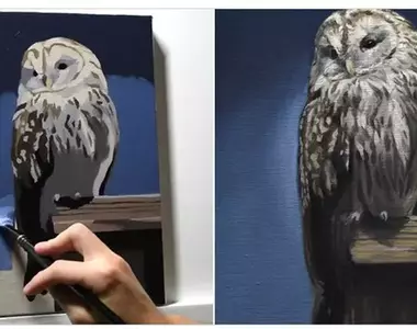 日本油畫藝術家的作品分享 3小時30分所畫出來的貓頭鷹差不多就長這樣子