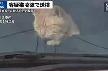 網友製作的AI假新聞 日本一隻貓因為涉嫌竊盜而遭到警方逮捕