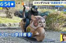 以貓聞名的日本寺廟《貓寺：雲林寺》多了一輛木雕貓咪重機吸引貓奴朝聖