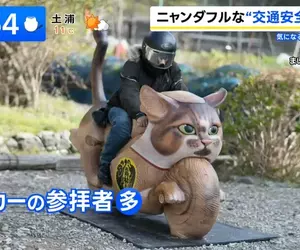 以貓聞名的日本寺廟《貓寺：雲林寺》多了一輛木雕貓咪重機吸引貓奴朝聖