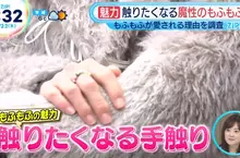 《毛茸茸的魅力》大家冬天都想包裹毛茸茸 擺在店門口還能吸引客人過來摸一摸