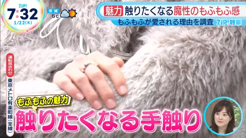 《毛茸茸的魅力》大家冬天都想包裹毛茸茸 擺在店門口還能吸引客人過來摸一摸