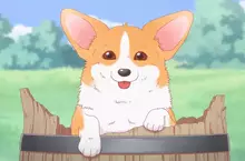 東京大學研究《狗狗開心的表情》飼主們發現狗狗開心自己也開心