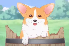 東京大學研究《狗狗開心的表情》飼主們發現狗狗開心自己也開心