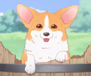 東京大學研究《狗狗開心的表情》飼主們發現狗狗開心自己也開心