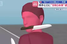 《佐賀索隆遭到逮捕》雙手一拿嘴巴一咬感覺就是了，而且走在街上只是為了收菜！？