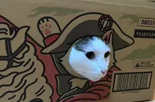 寵物用品紙箱巧思 網購包裹竟然設計成可以讓貓貓玩耍，趣味的設計巧思引起網友熱議