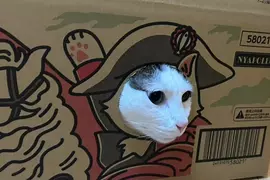 寵物用品紙箱巧思 網購包裹竟然設計成可以讓貓貓玩耍，趣味的設計巧思引起網友熱議