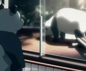 中國要求日本歸還大貓熊《咒術迴戰》第一期片頭從此成為絕響了？