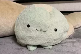 他因為火災不幸失去《愛惜20年的水母玩偶》上網徵求轉讓獲得熱烈反響