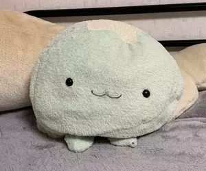 他因為火災不幸失去《愛惜20年的水母玩偶》上網徵求轉讓獲得熱烈反響