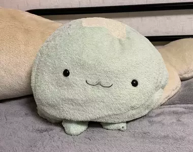 他因為火災不幸失去《愛惜20年的水母玩偶》上網徵求轉讓獲得熱烈反響