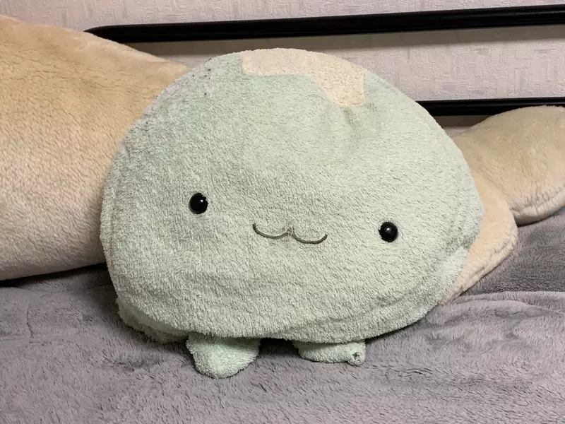 他因為火災不幸失去《愛惜20年的水母玩偶》上網徵求轉讓獲得熱烈反響