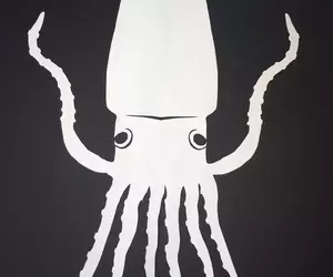 《搞笑藝人清川雄司》４年半每天分享剪紙藝術乏人問津 卻在宣布停更當天爆紅了