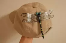 實體大蜻蜓吊飾《蜻蜓君》因翅膀壞了網友用鋼彈模型配件加以改裝，結果引起網友熱議