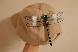 實體大蜻蜓吊飾《蜻蜓君》因翅膀壞了網友用鋼彈模型配件加以改裝，結果引起網友熱議