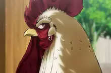 電視動畫《雞鬥士》新視覺圖+宣傳影片公開，預計2026年4月開播