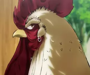 電視動畫《雞鬥士》新視覺圖+宣傳影片公開，預計2026年4月開播