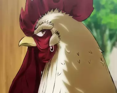 電視動畫《雞鬥士》新視覺圖+宣傳影片公開，預計2026年4月開播