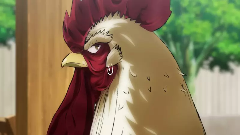 電視動畫《雞鬥士》新視覺圖+宣傳影片公開，預計2026年4月開播