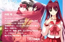 2004年的巨乳角色《ToHeart2的環姐》以現代的標準來說一點都不巨？