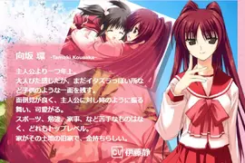 2004年的巨乳角色《ToHeart2的環姐》以現代的標準來說一點都不巨？