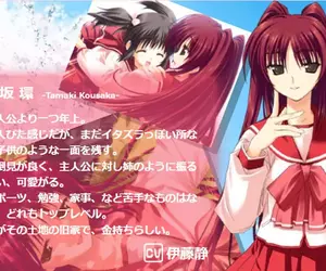 2004年的巨乳角色《ToHeart2的環姐》以現代的標準來說一點都不巨？